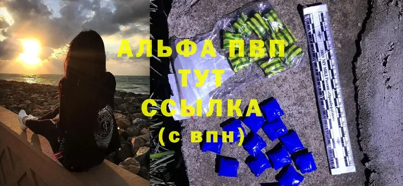 дарнет шоп  Грязовец  Alpha PVP СК 